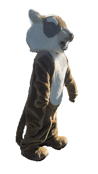 nfaschoolalumni nfa nfaalumni nfafoundation nfawildcat Sticker