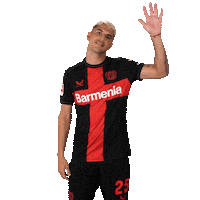 Good Morning Smile Sticker by Bayer 04 Leverkusen