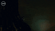 Jodie Whittaker Thirteenth Doctor GIF by Doctor Who