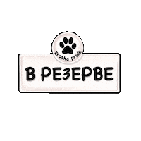 Kseniaep Sticker
