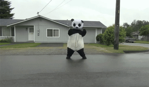 dance panda GIF