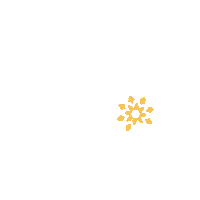 Celebreyourday Sticker by CELEBRE