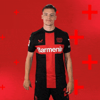 Bayer 04 No GIF by Bayer 04 Leverkusen
