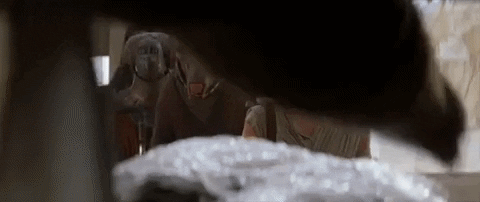 Episode 7 Rey GIF by Star Wars