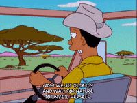 episode 17 tour guide GIF