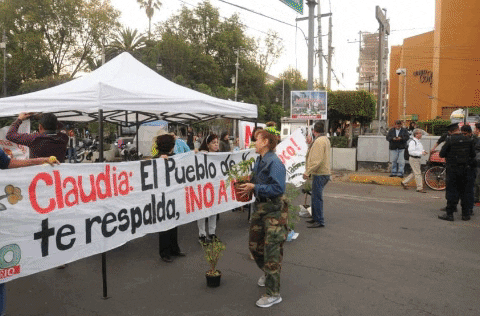 elsolde_mexico giphygifmaker protesta tala arboles GIF