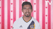 soccer love GIF by LA Galaxy