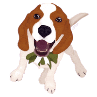 flo_creative_studio love dog pitbull molly Sticker