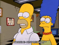 Season 2 Episode 10 GIF by The Simpsons