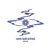 Lashes Sticker by tamelashhouse