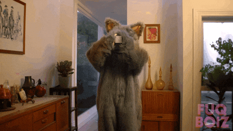 Cat Refreshing GIF