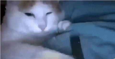 joannasvtz giphygifmaker GIF