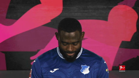 Tsg Hoffenheim Football GIF by Bundesliga