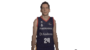 Vamos Liga Endesa Sticker by ACB