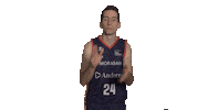 Liga Endesa Basketball Sticker by ACB