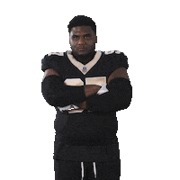 Nfl Football Sticker by New Orleans Saints