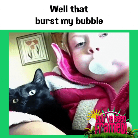 #ybf #you've been framed #funny cat #burst your bubble #burst my bubble #bubblegum #pop GIF by You've Been Framed!