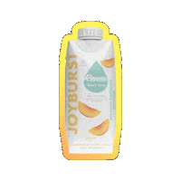 Peach Hydration Sticker by No Sugar Company