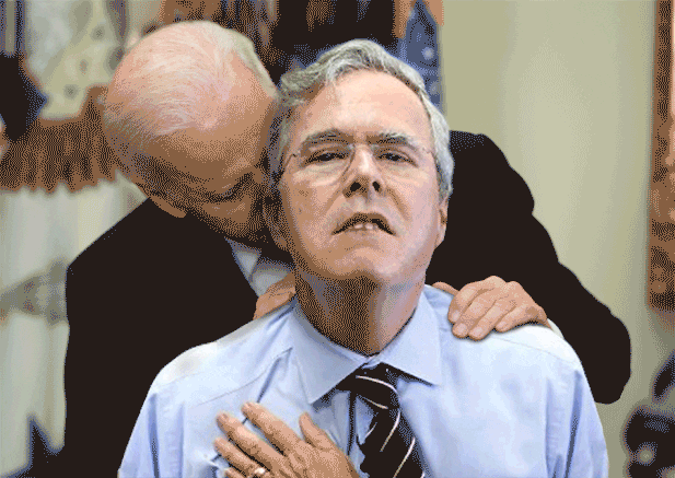 donald trump GIF