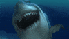 finding nemo smile GIF by Disney Pixar