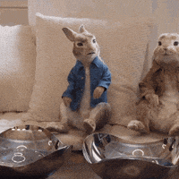 Domhnall Gleeson No GIF by Peter Rabbit Movie