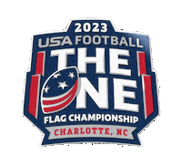 American Football America Sticker by USA Football