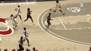 Celebrate Washington State GIF by Pac-12 Network