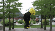Wu_Shock wu wsu wushock shockers GIF