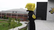 Wu_Shock dance wu wsu wushock GIF