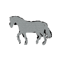 Horse Sticker by BETTALIFE