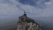 viceland GIF by ABANDONED