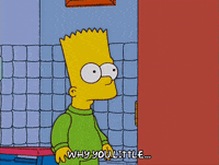 bart simpson episode 13 GIF