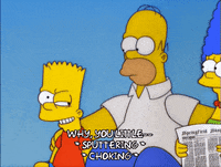 homer simpson episode 22 GIF