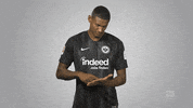 Football Soccer GIF by Bundesliga
