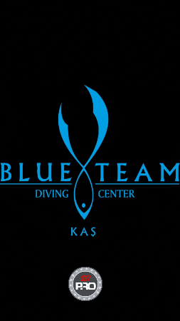 Blueteamdiving giphygifmaker giphyattribution blueteamdiving blueteamdivingcenter GIF