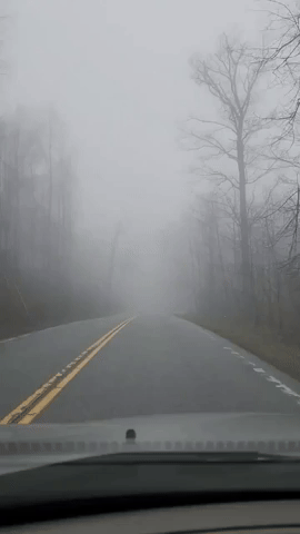 'Thick as Pea Soup!': Dense Fog Covers Ohio Roadway