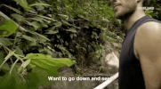 viceland GIF by JUNGLETOWN