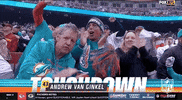 National Football League GIF by NFL