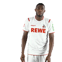 Fc Cologne Bundesliga Sticker by 1. FC Köln