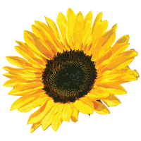 Flower Sticker