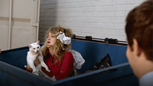 workaholics cat GIF by Comedy Central