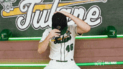 College Baseball Zach GIF by GreenWave