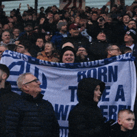 Fans GIF by Bolton Wanderers FC