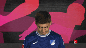 Tsg Hoffenheim Football GIF by Bundesliga