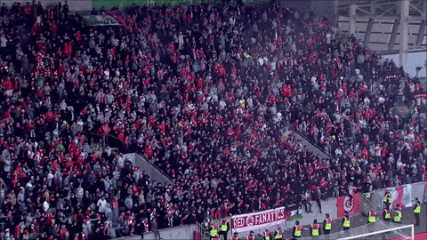 Red Army Fans GIF by Cliftonville Football Club