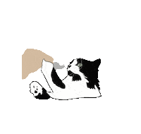 yulegrs cat кошка мило милый Sticker