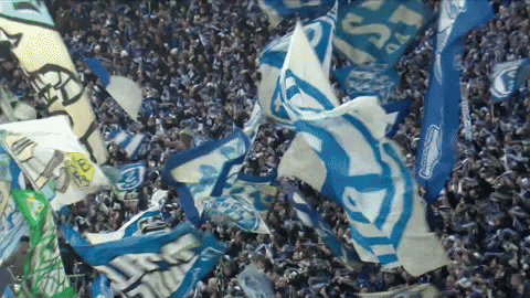 United Football GIF by FC Schalke 04