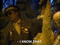 you cant do that on television nicksplat GIF