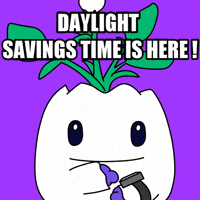 Time Fall Back GIF by Magic Eden