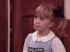 Sarcastic Full House GIF
